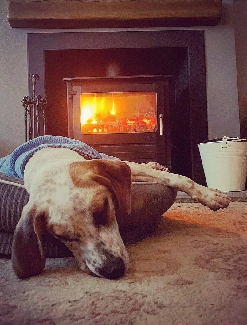 029B9CFC-F942-4589-85EB-BD8D505C48AD