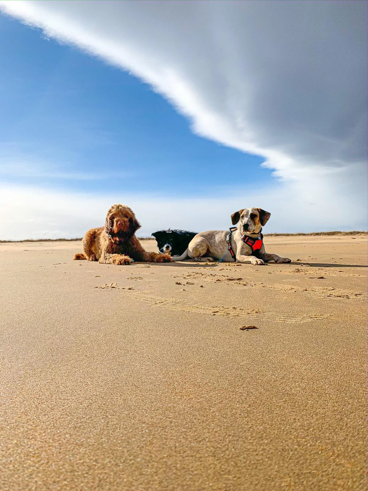 C153C75D-F79B-4D5F-A8CE-570F78BBBB55