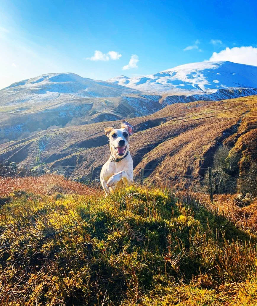 C7D39D57-4A9B-45DD-B9CA-D04E2B017CC3