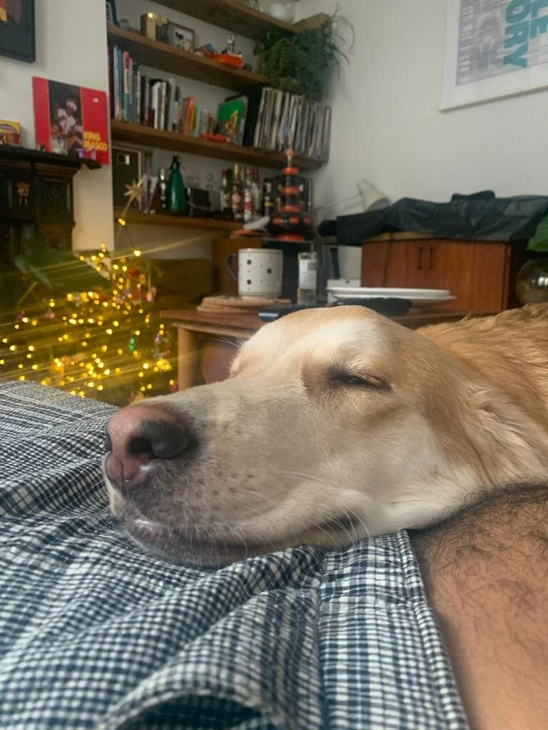 AD8A3D13-6C62-4BA1-A1F0-3338D4C30E58