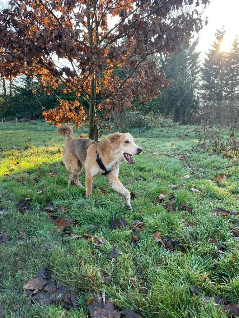 F7307CB5-978C-4F1F-BCF0-8B5D5BCBAA71