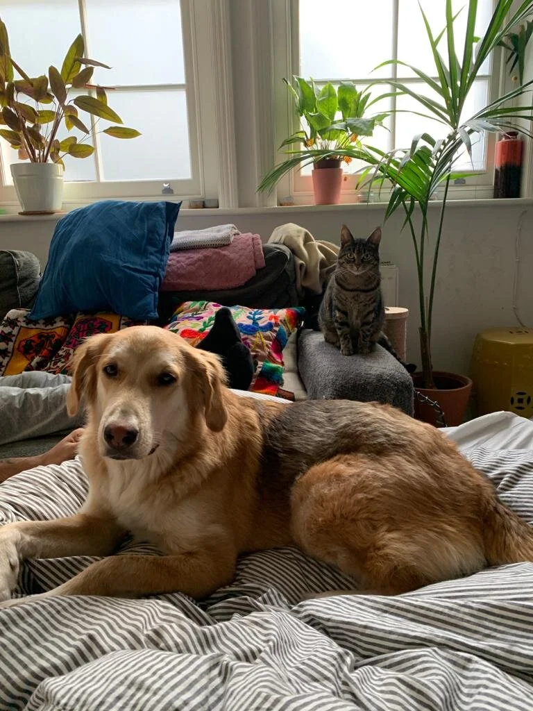 ED065DF7-5DFA-4019-A527-CC95D8185B81