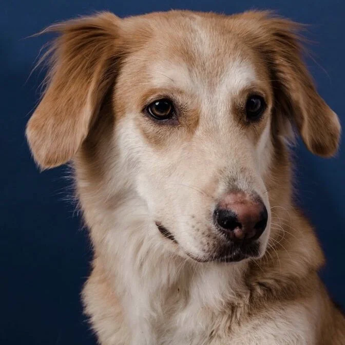 C5F70C70-5C54-416D-9CE9-640758AE5E8B