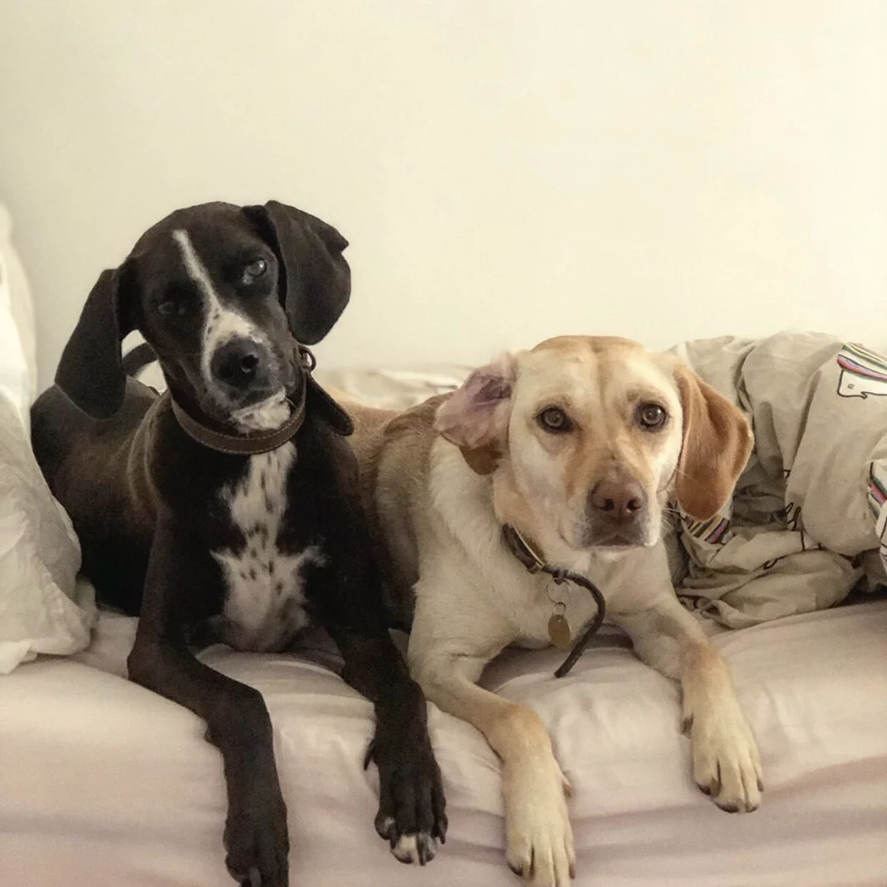 F3BF976C-66EF-4BCB-816C-D7F4316098AF