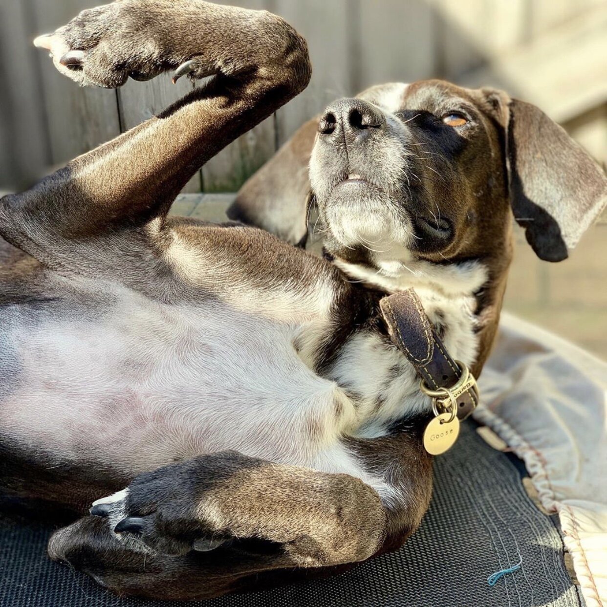 38714C54-0A37-4270-A463-1D73FA967B4D