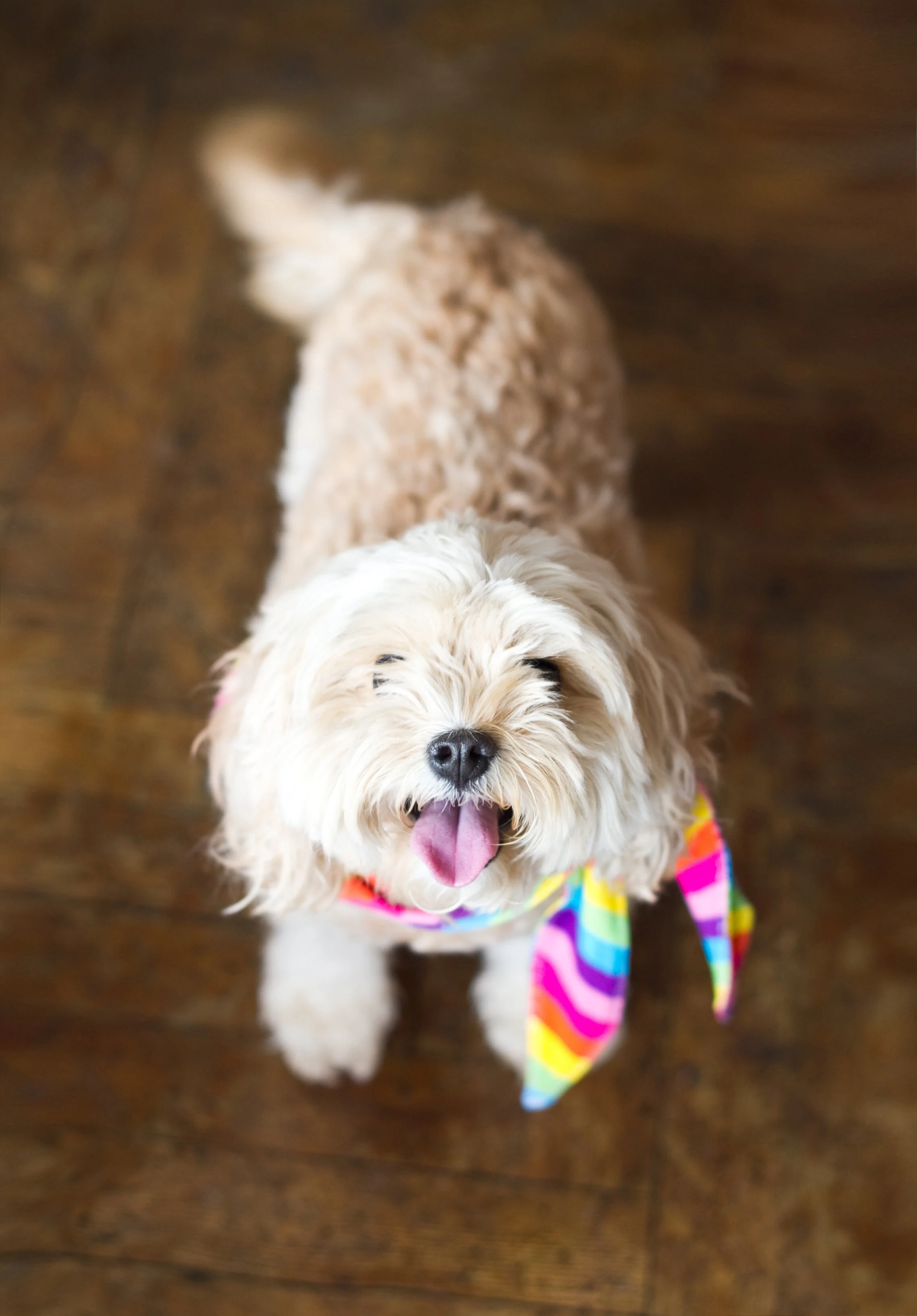 D20EDF8F-6CB0-4666-B04C-3ACD87089F7E