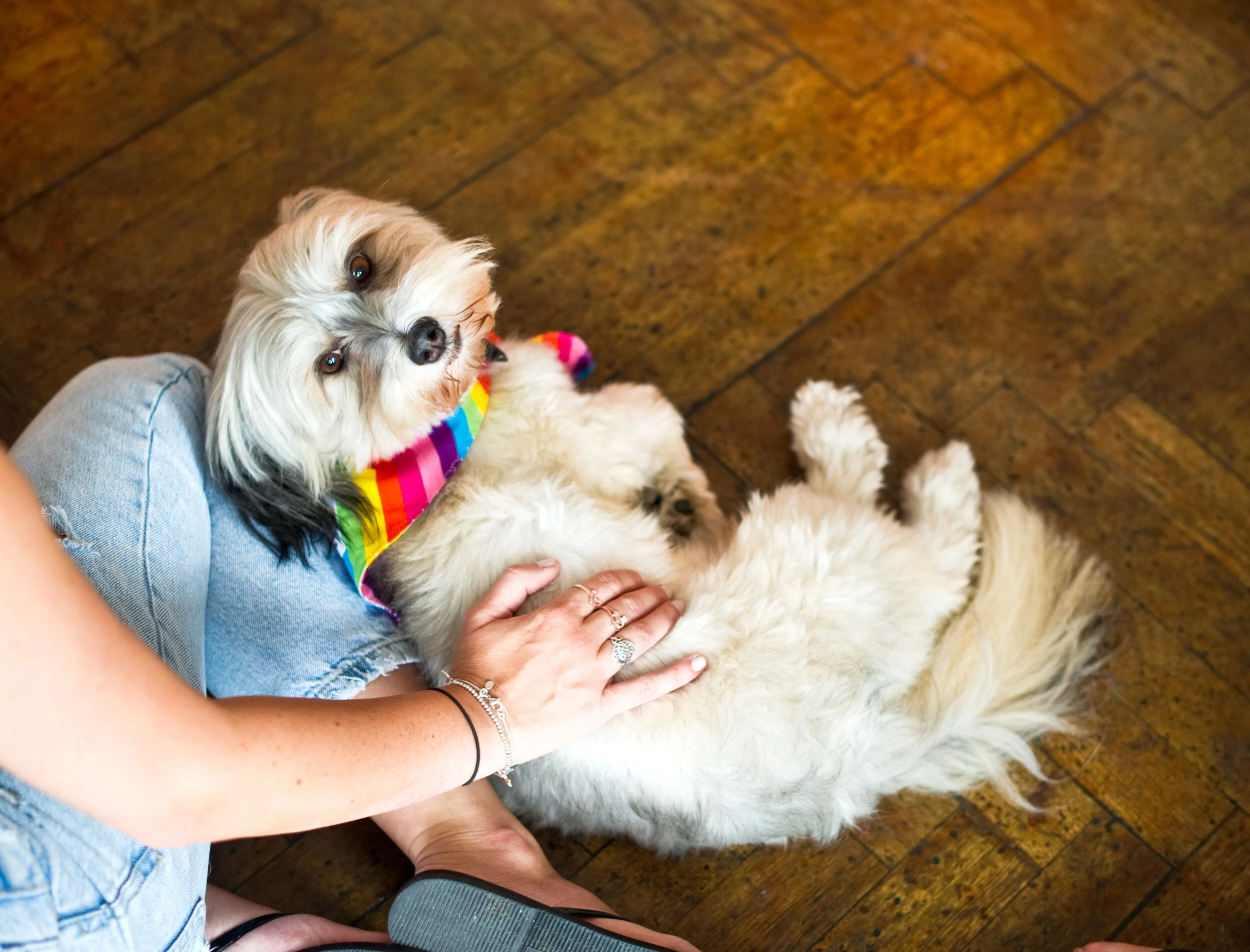 7F24F173-C5E4-465D-95FF-945C6626DC29