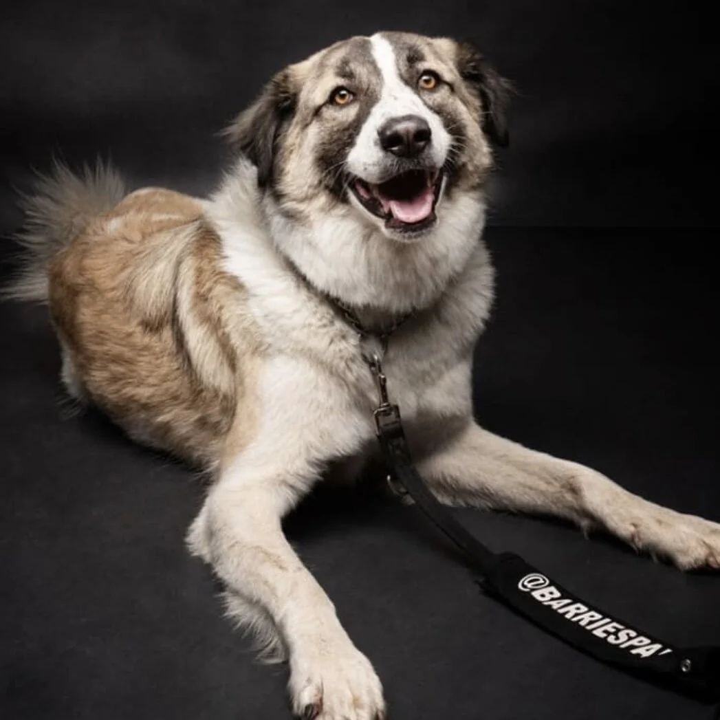 472D002B-28D5-4839-851B-3E6C66CDB050