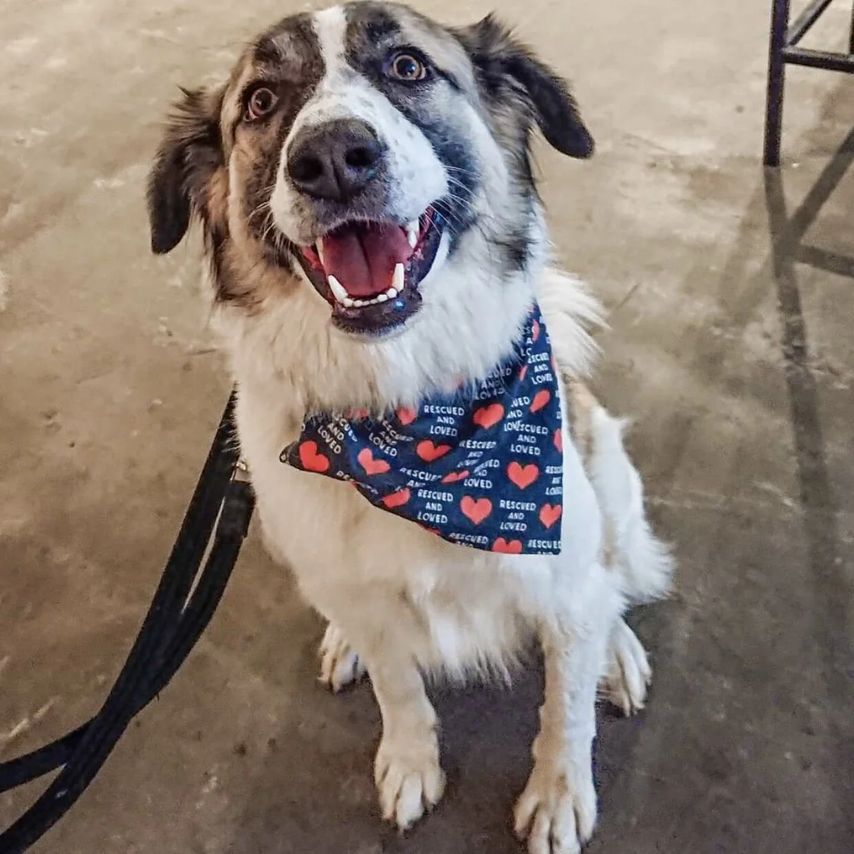 D3A02832-3CC2-490F-8B6F-F8652696C9B6