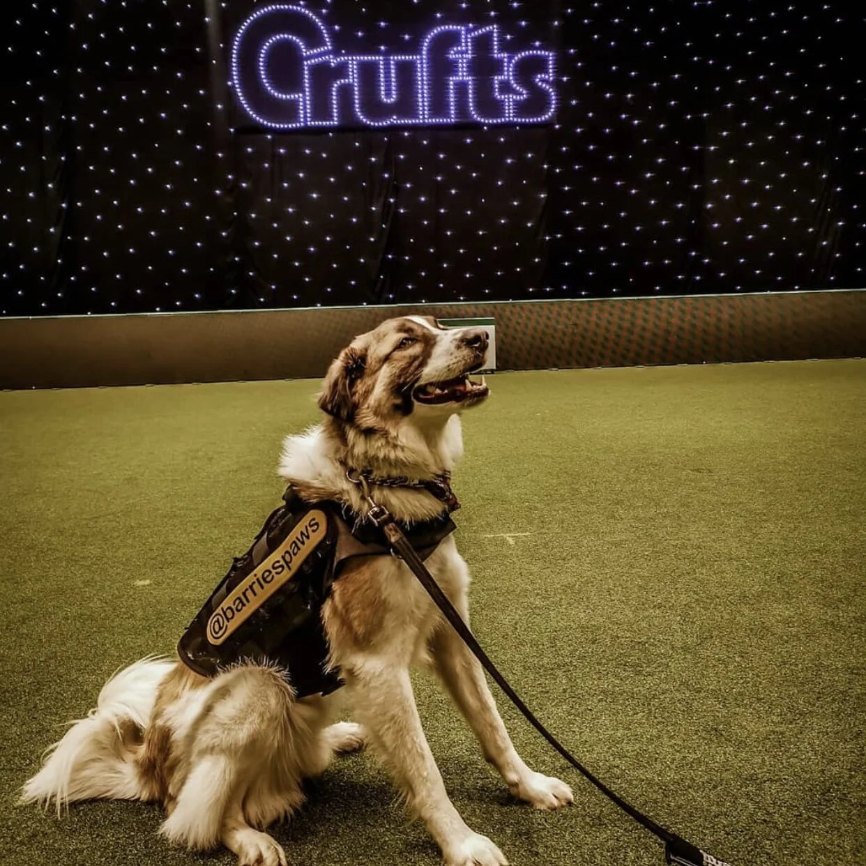 A9C3597E-4931-4A65-B8B0-2D9BAA2A40B7