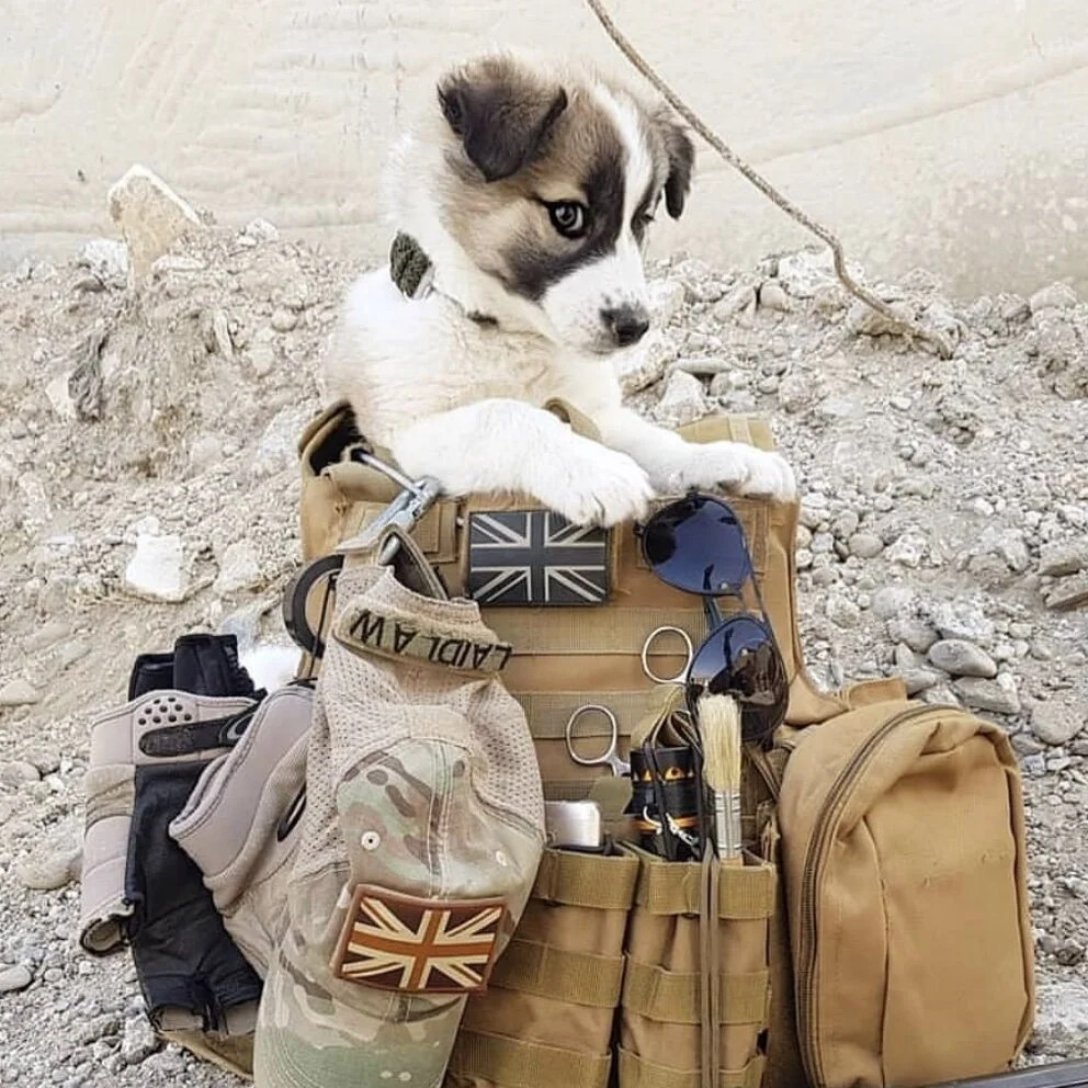 B4267AE0-64C9-4AE7-BD21-98D30165C84E