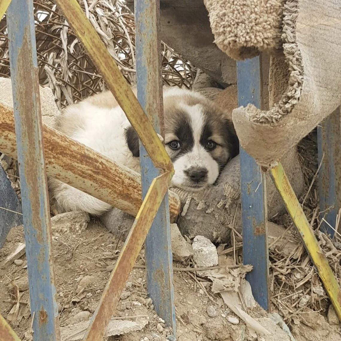 A9E848DB-74EE-42C3-84CB-670FD0ED13D6