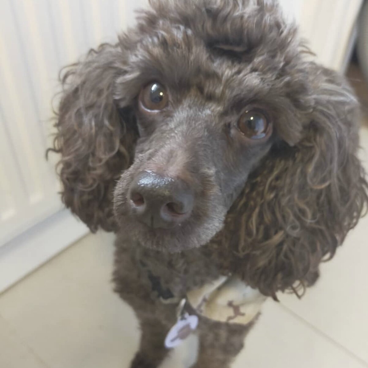 F63E06D2-2207-4668-B20D-80DF9ED02C5D