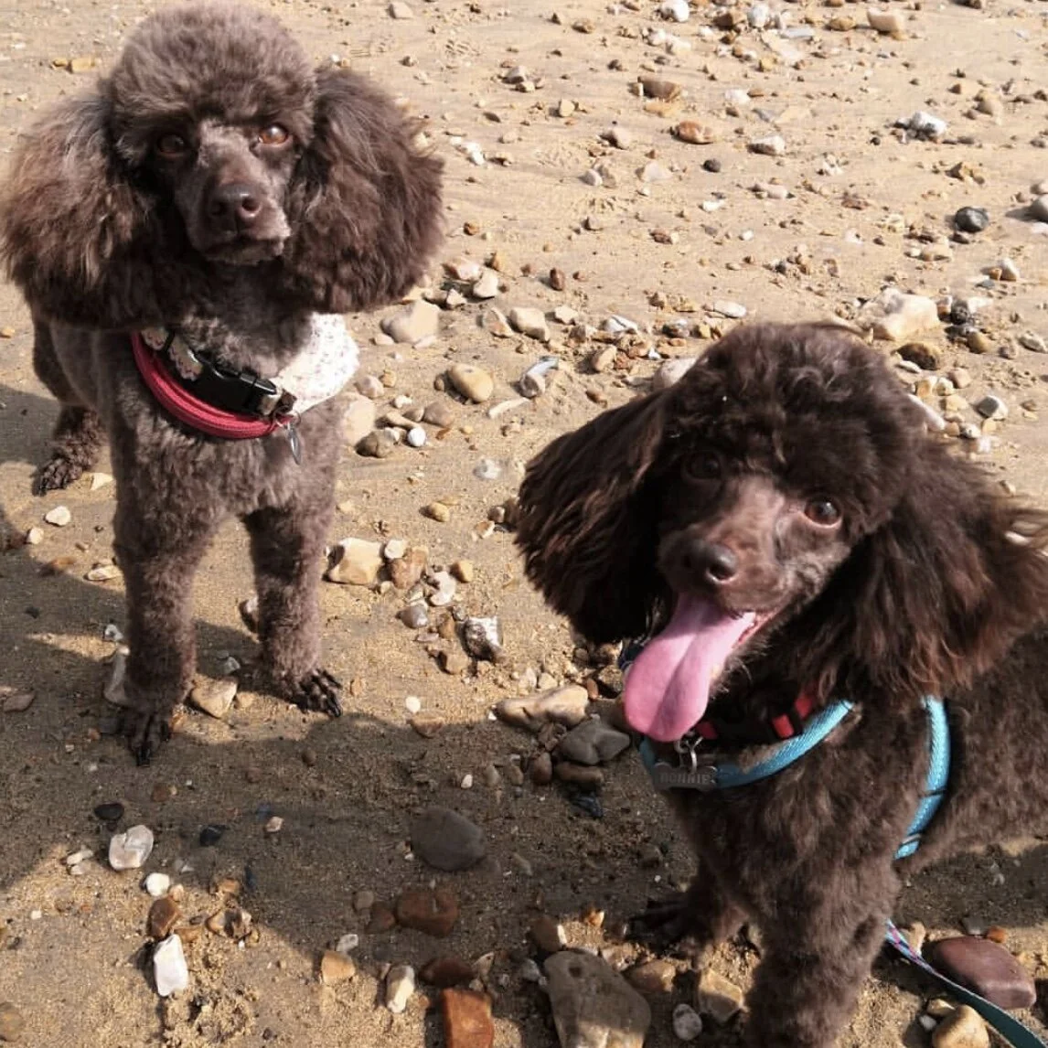 F8ACF9E2-304A-43EC-97A8-5000FE1E1F78