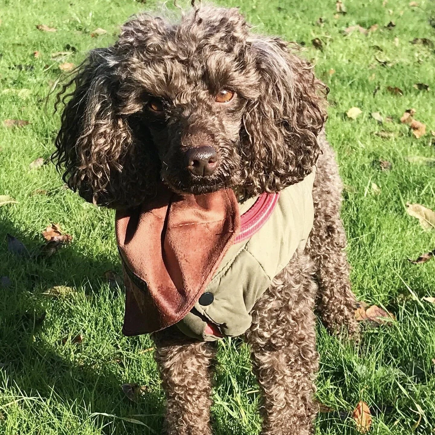 AADE622A-A0C5-40B9-91C1-0948DEC0C3E6