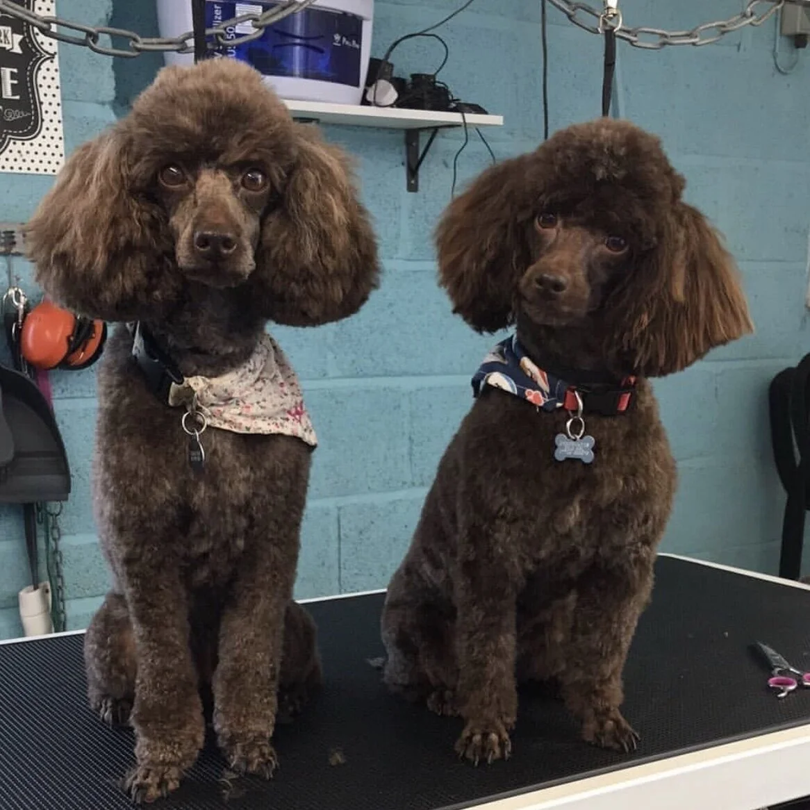 7572E50D-F0CC-4EC2-A1F7-1EC51D6E6F4F