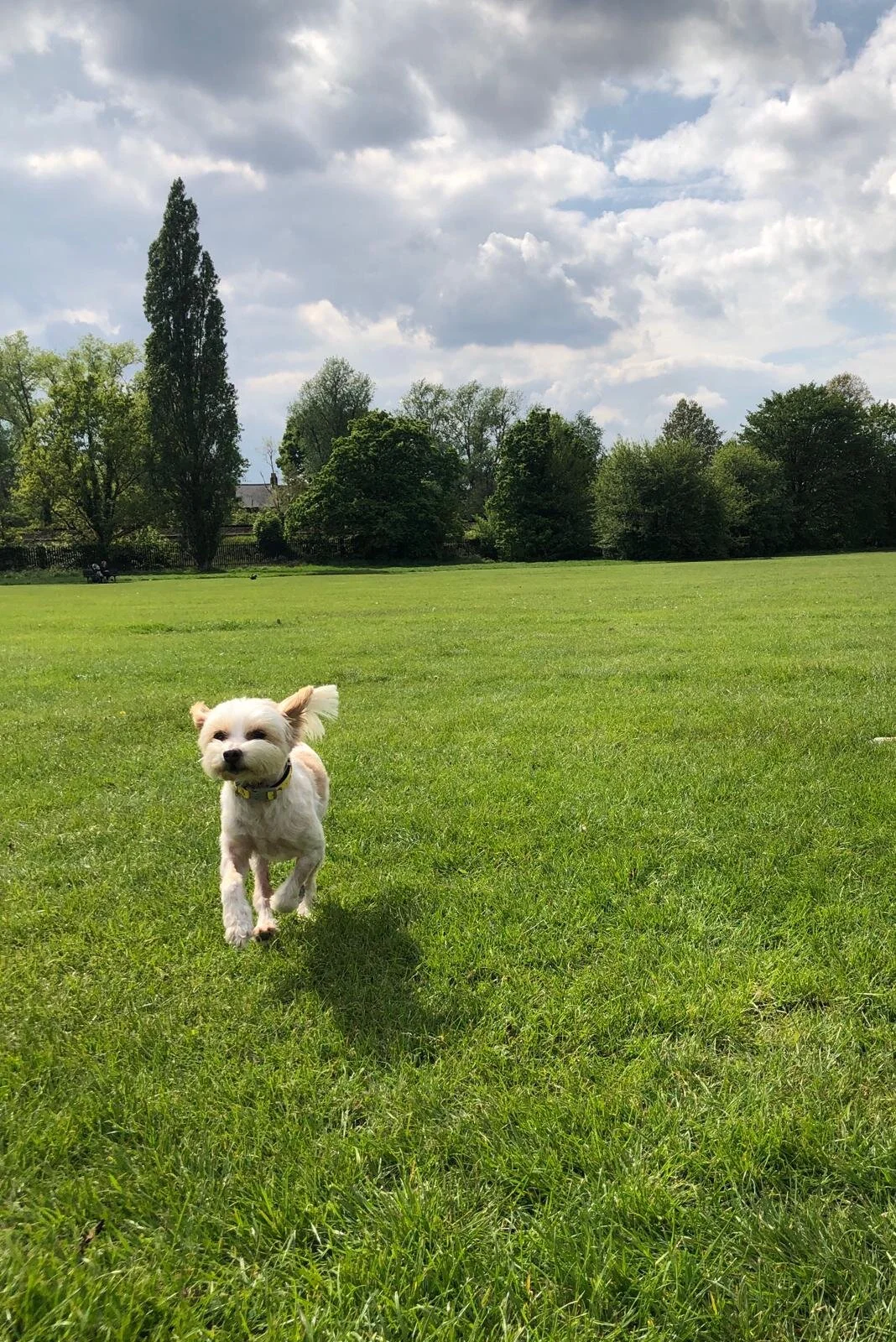 FBC8E244-63F2-487D-995F-F446965E567C