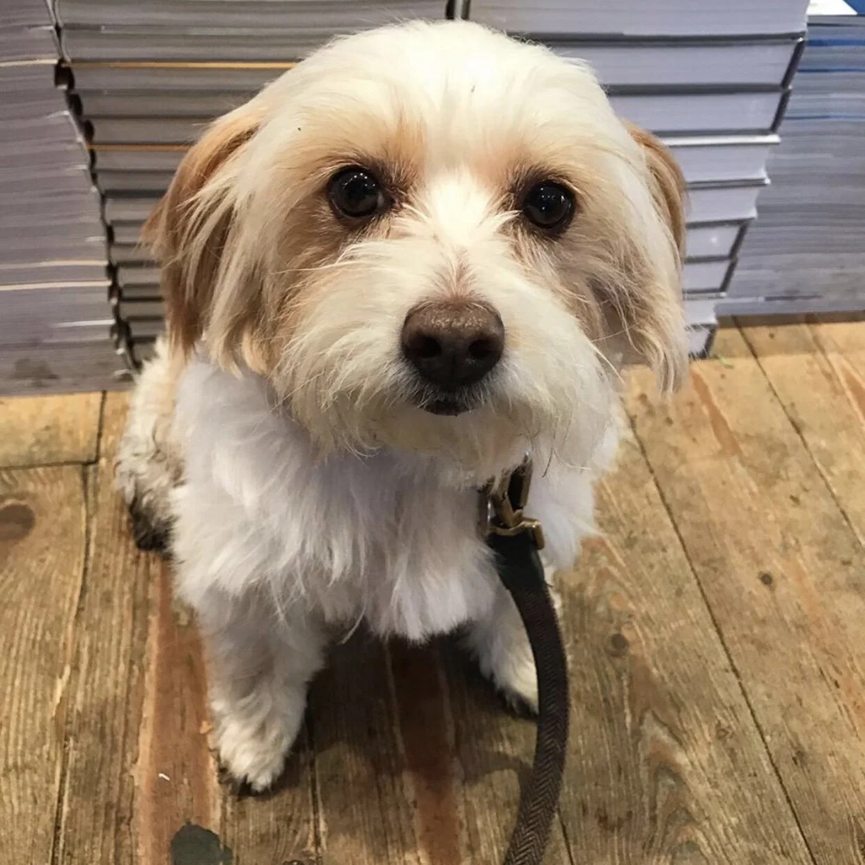 E25EEE80-7073-4480-B48B-A16D4D275C04