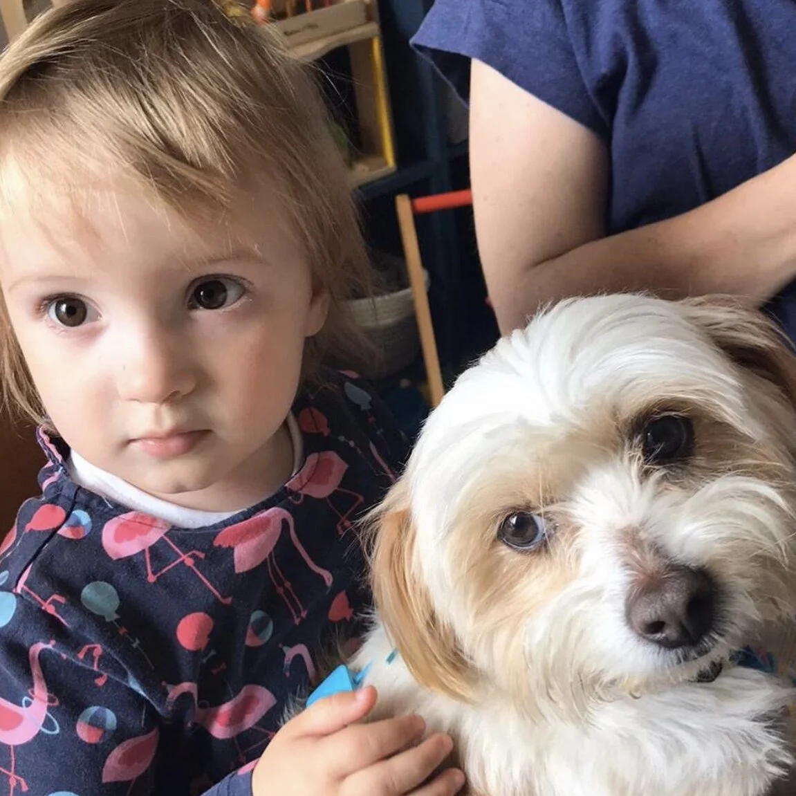 0826C3AA-8007-492B-902D-DEDE95175E2C