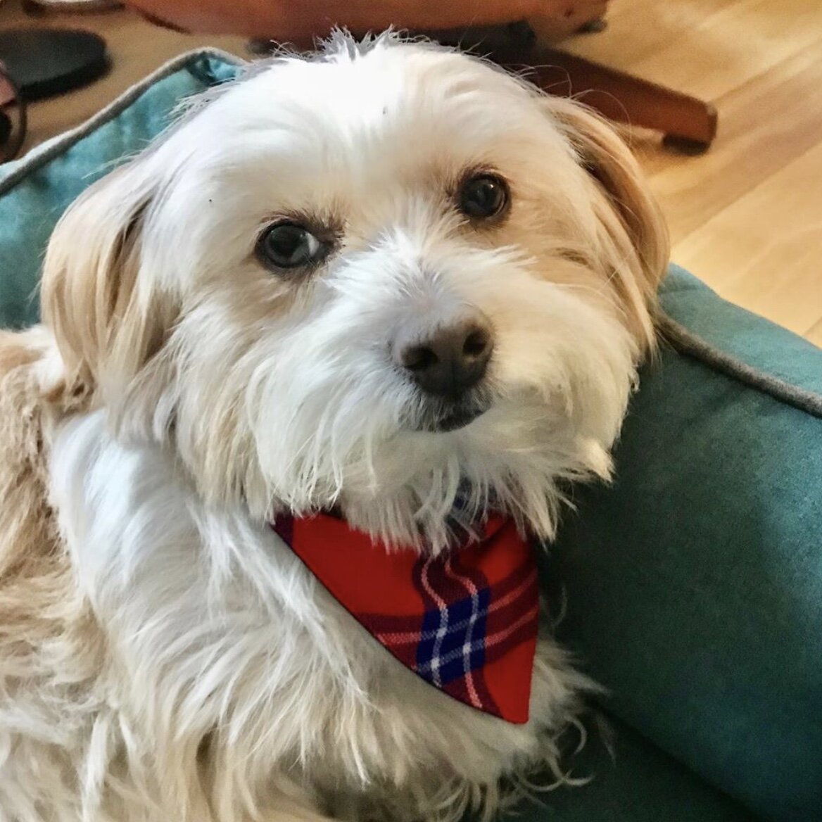 736EA176-17C7-4487-933C-7E5A4D2195E1