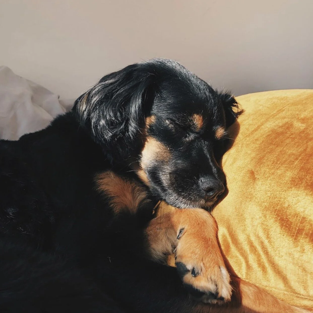 01E7D6FB-14D6-4762-A470-EA18569F05C8