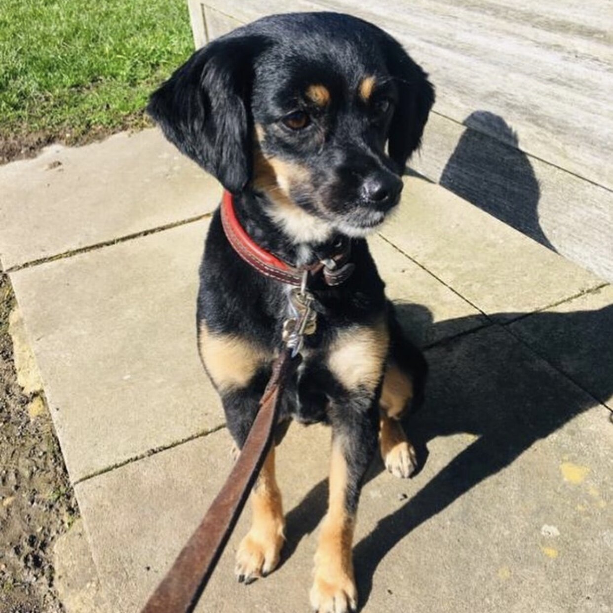 DF83C43A-8262-4D5E-88D9-82B2184E4D85