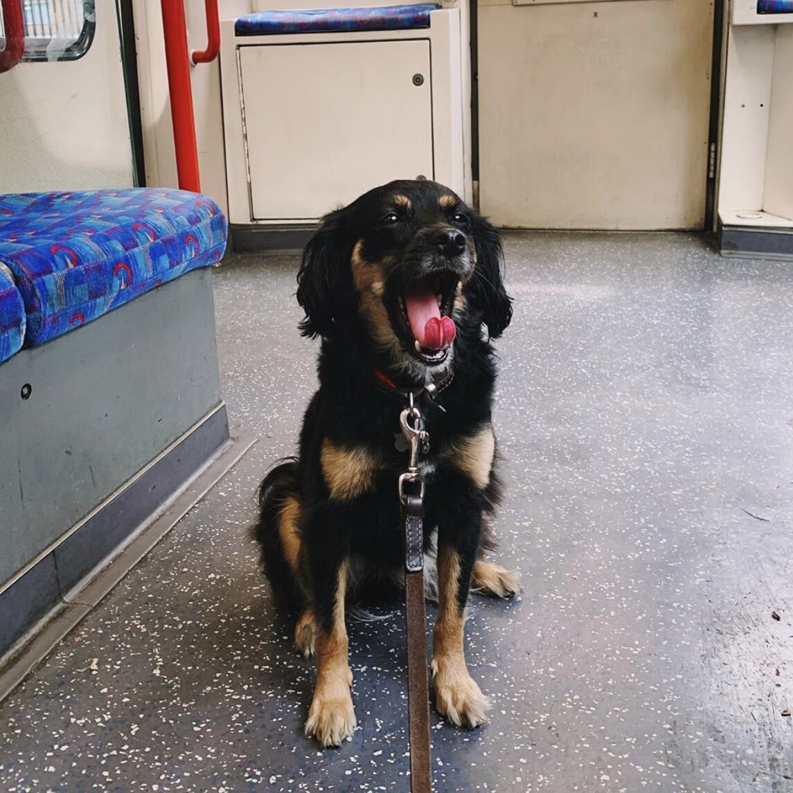 0F29864C-0591-4FF4-9711-4396AC971C51