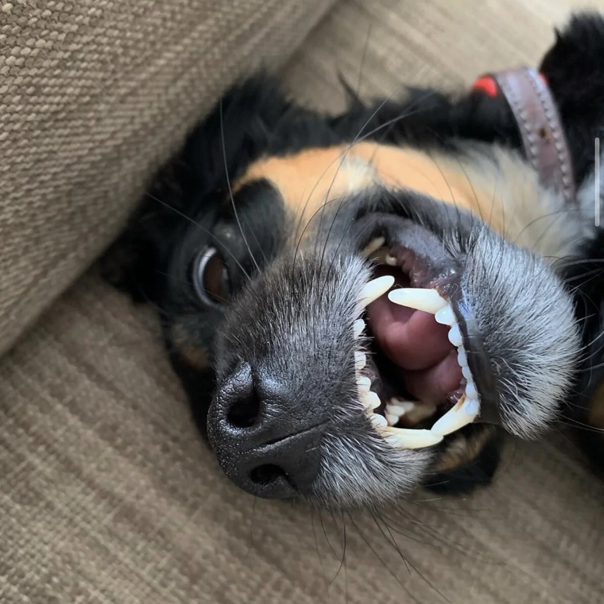 037C6B42-FD2B-47E9-B576-AB9DDA8E7B35