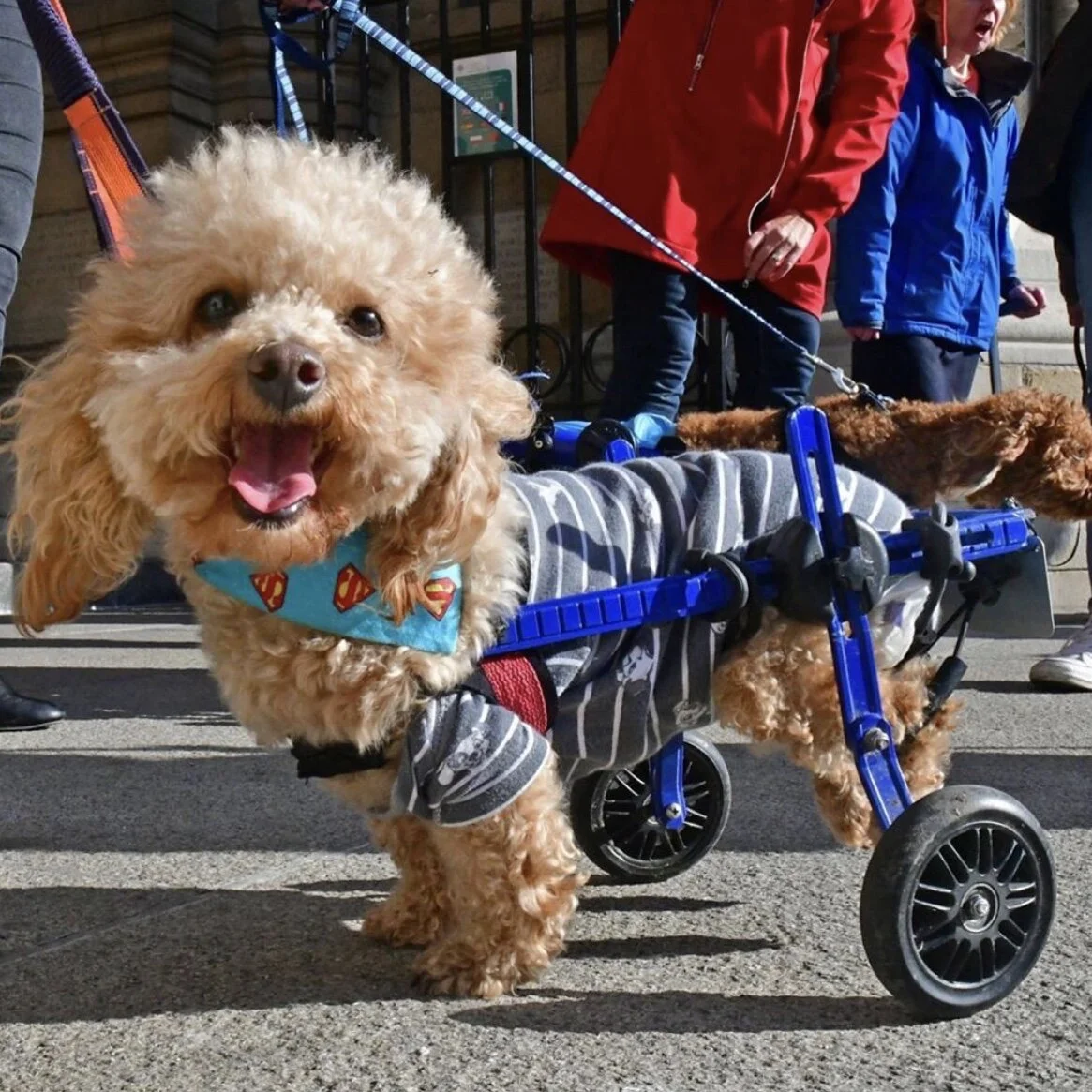 7B725ABD-42FE-44F0-8F9C-AC9E6893C5B8