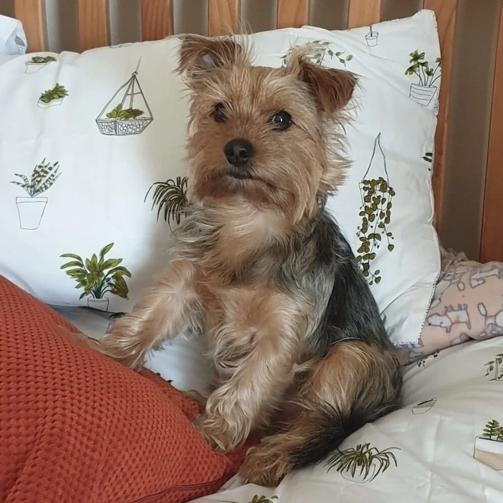 BB84F1C0-DF8A-4849-8716-6B9AD3C43618