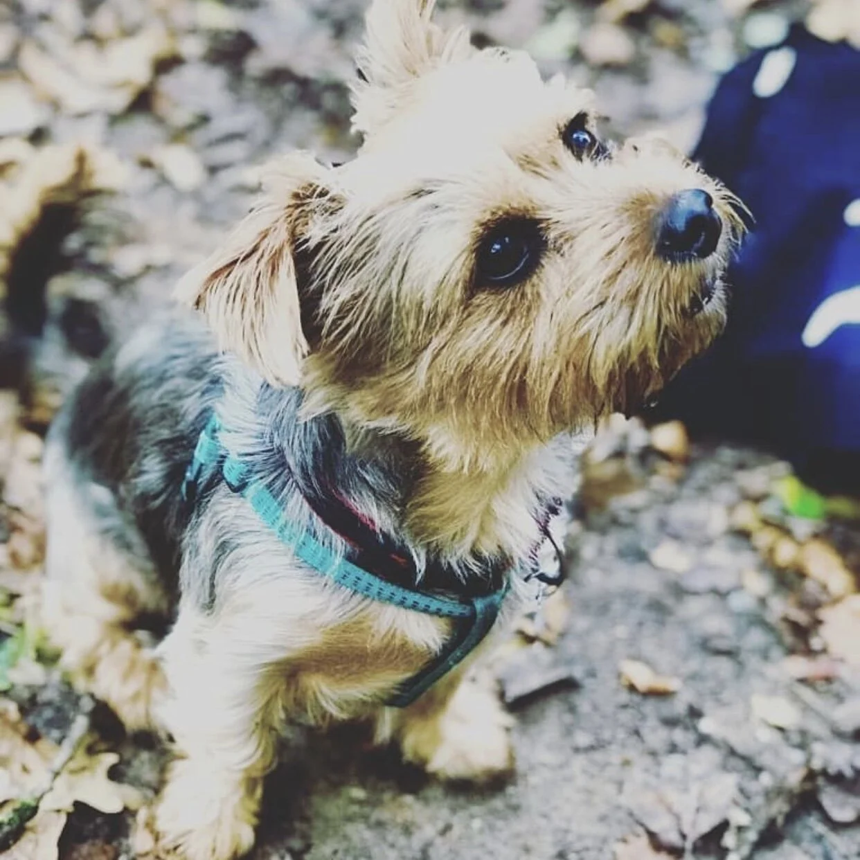 15DFC50B-B968-418F-A6AB-23DF1F8ABF05