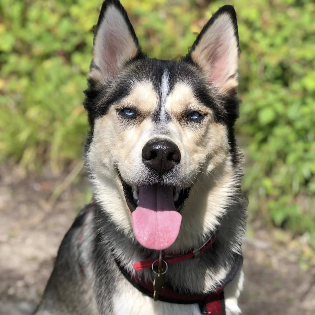 B45A041A-5D90-46BA-86E4-7FBC5D188CAF