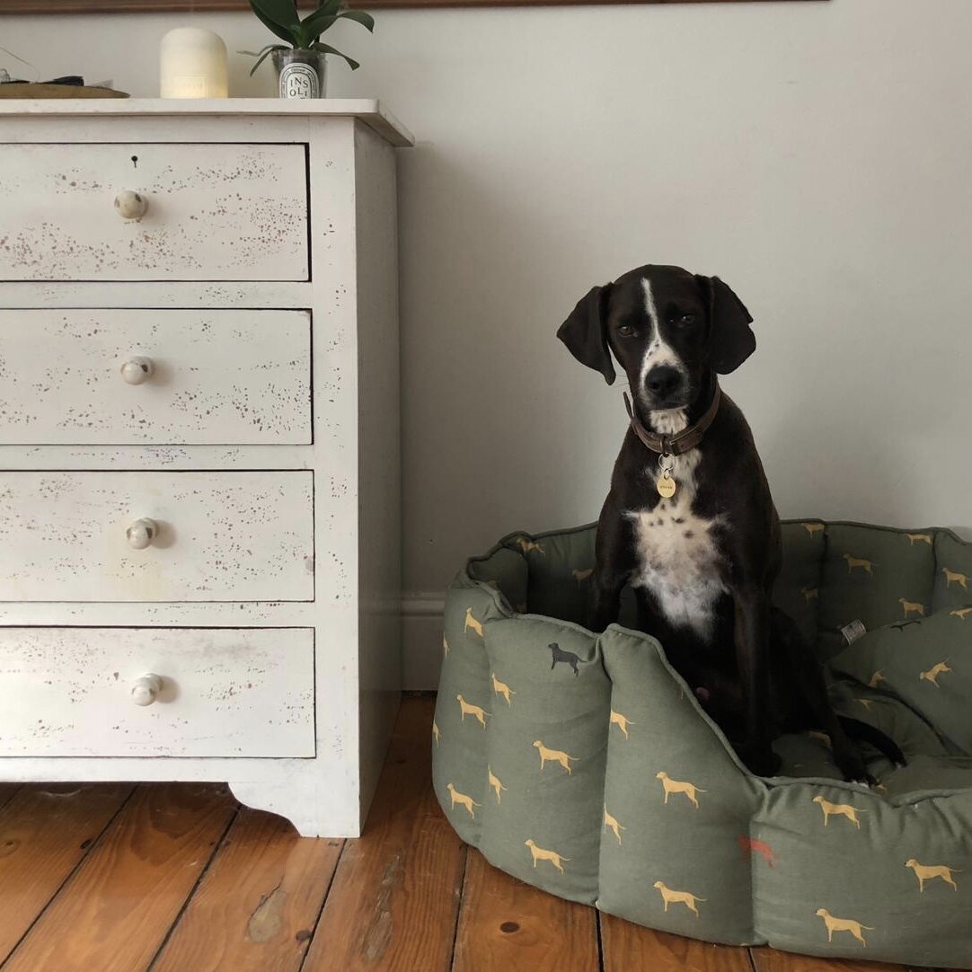 970562A0-2E3F-42D9-B116-D5DB957AD6C7