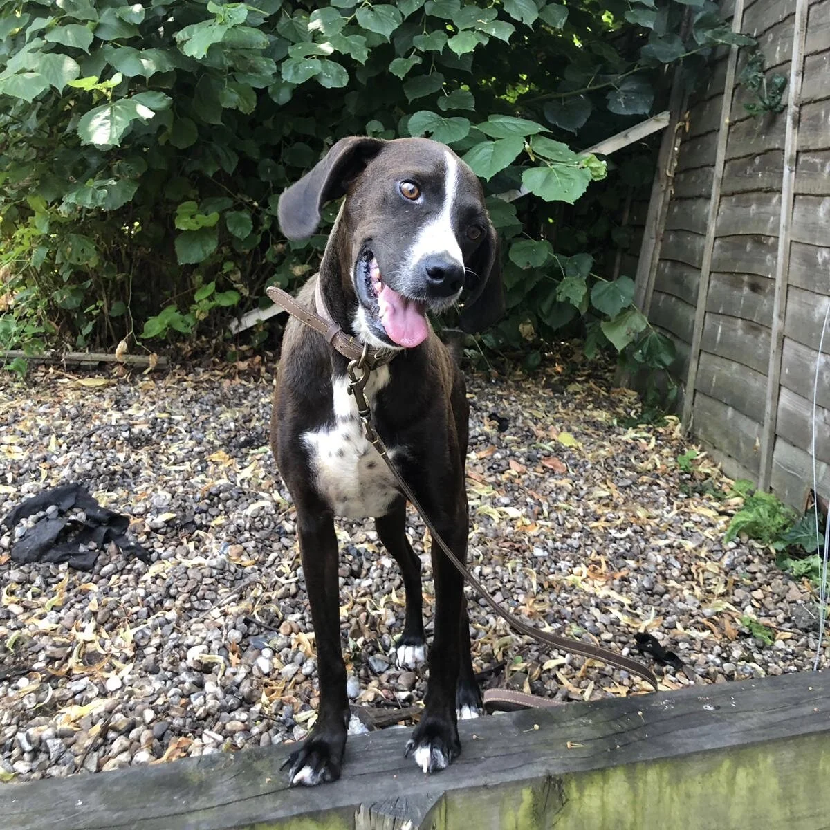 1901F5E3-9434-48D8-A8AA-767522EB878F