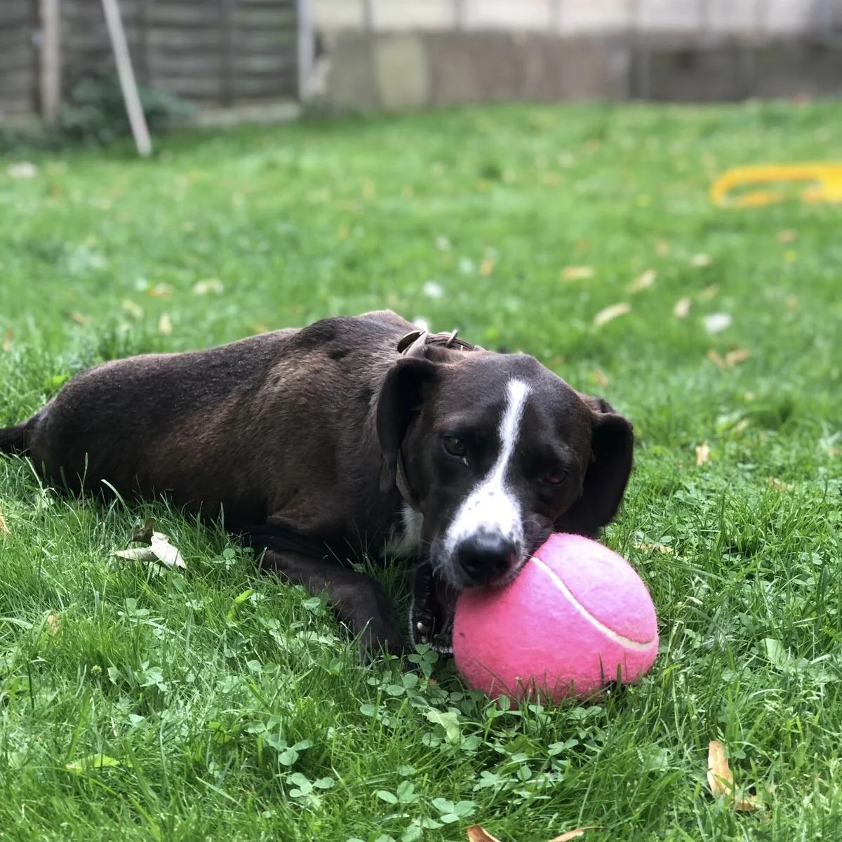 F10A8AB2-BBD4-4587-9DEC-F5EA8A1C14C5