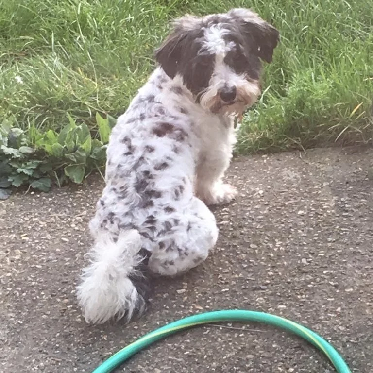 6F8F9F9E-63DD-4922-B6A2-20DFD9D42C88