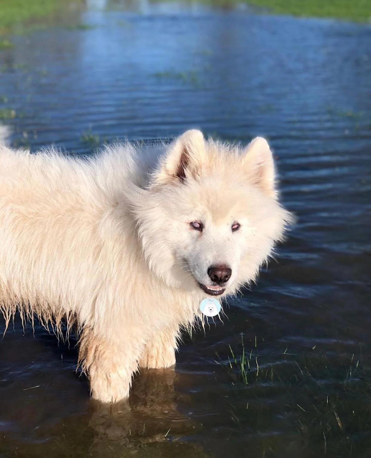 A21E0345-90CC-464B-9440-96BB28E118C0