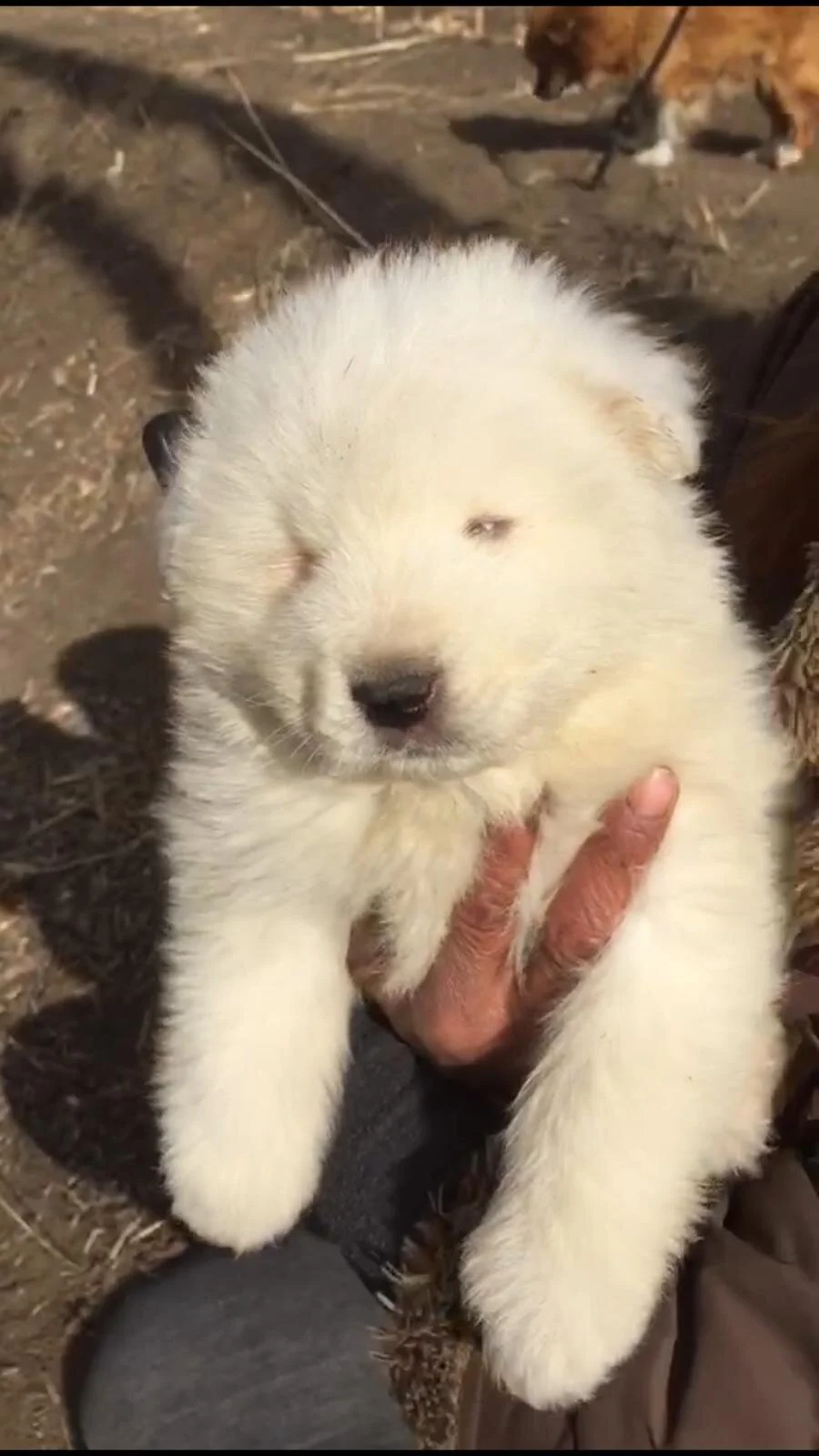 9BB4804A-DD1B-4221-84FD-206F65200368