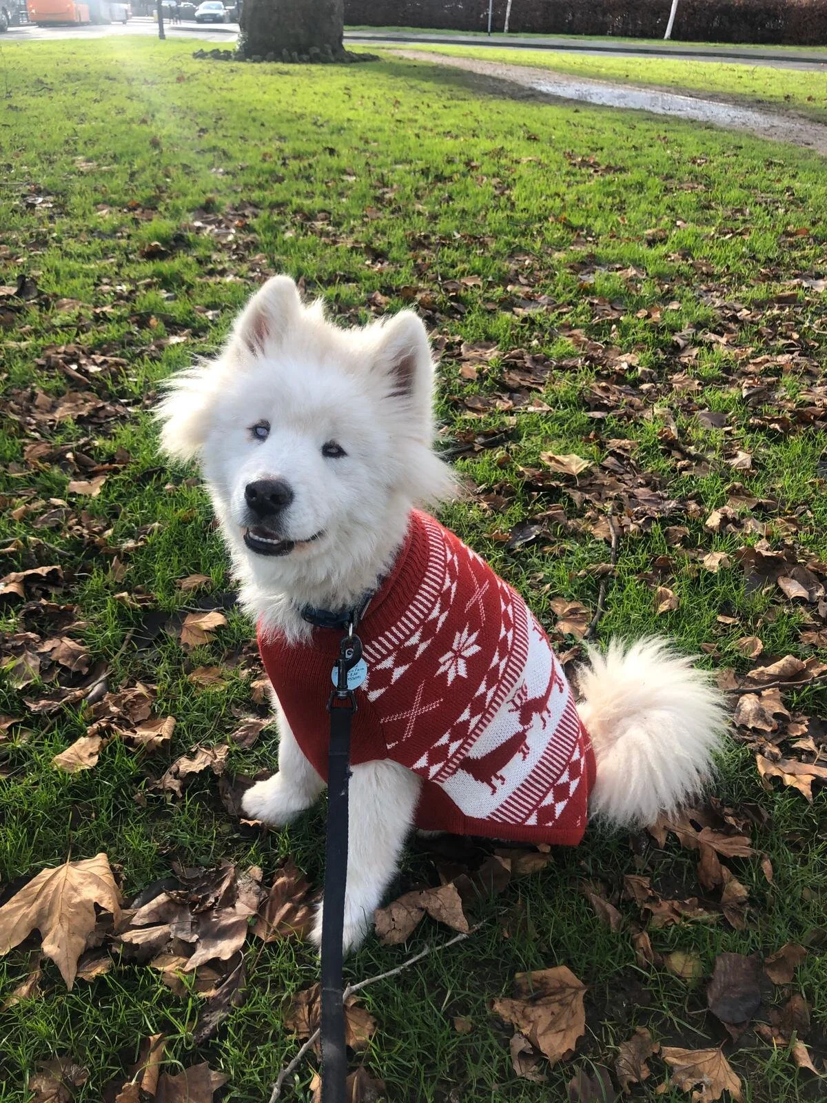 40E92829-469F-43BA-BD1B-1A80B07DC793