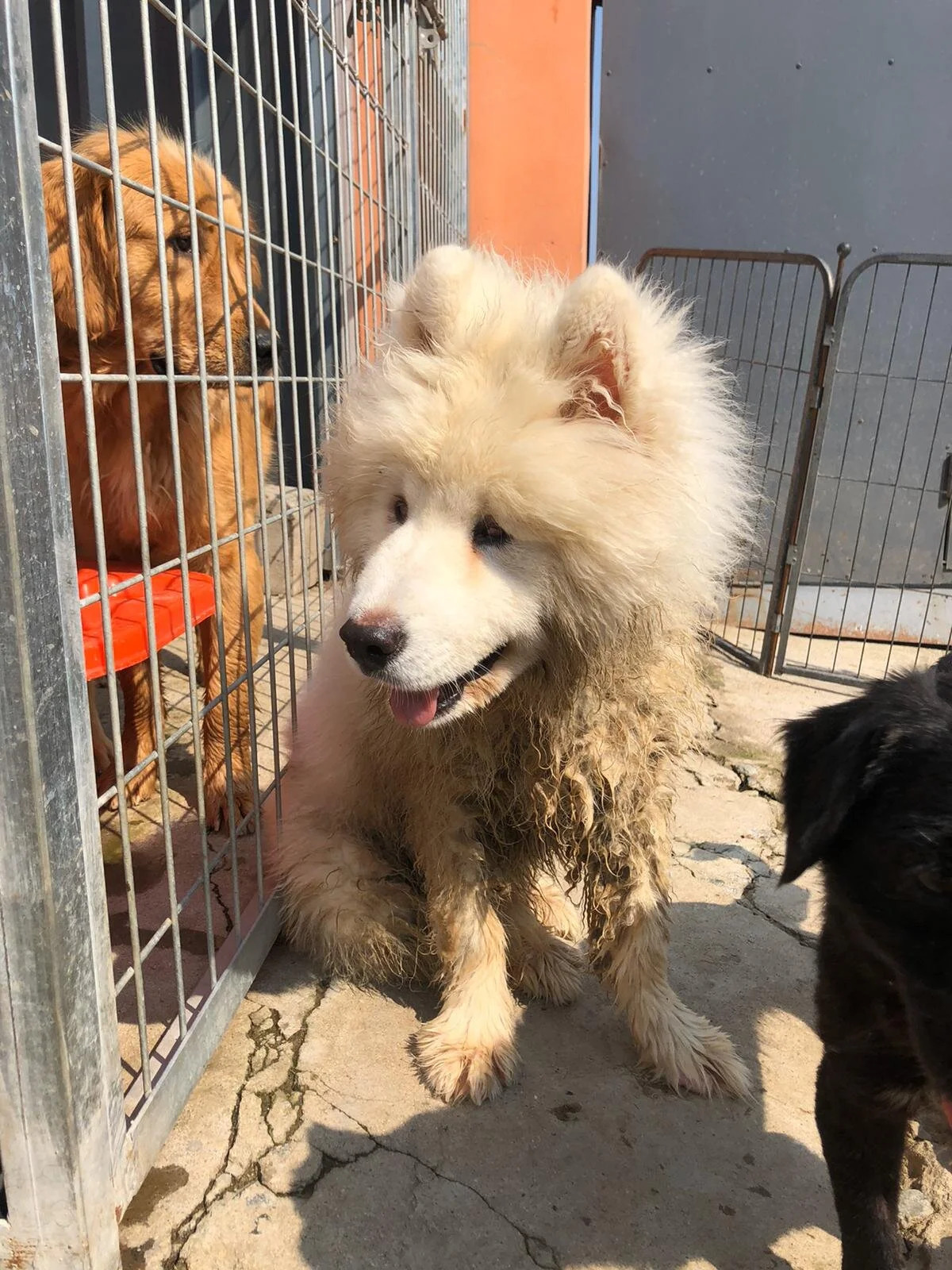 A8173CE4-42C6-4649-82A5-5CFAB82DF485