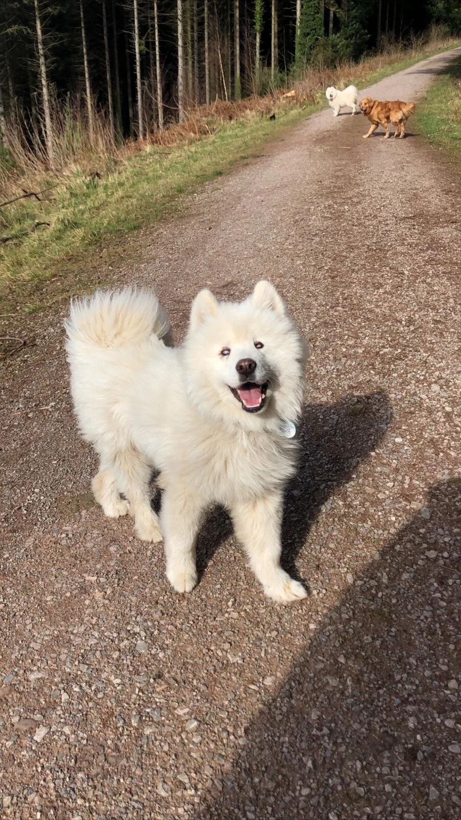 595EB31B-AF7D-4D3C-A946-3AD94E179A64