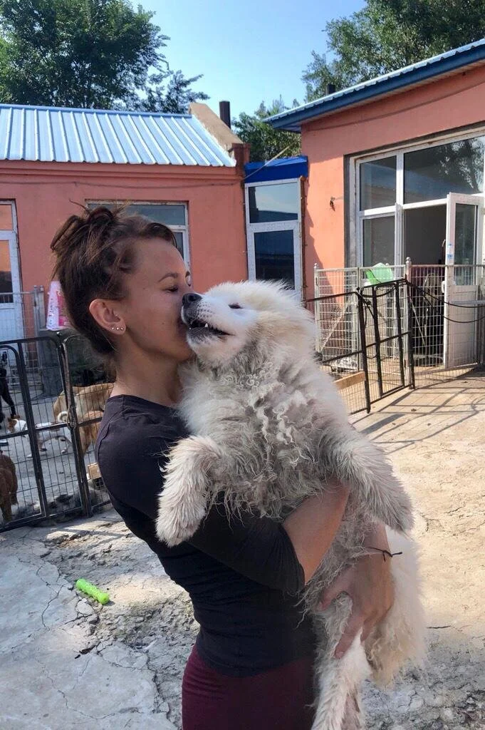 C354A882-398F-42FC-9FD3-804761B9D346