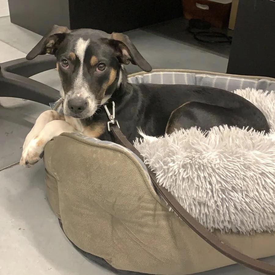 F86FFA67-DB11-4CE8-AC60-1BCC0DB3BE28