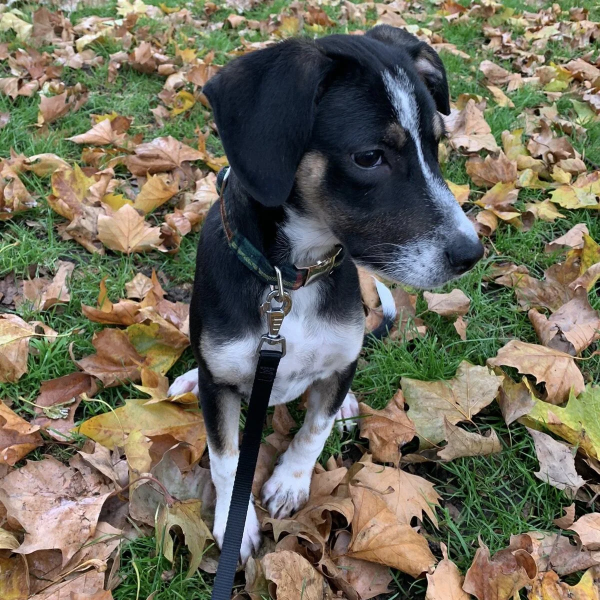 03C7687B-328F-4196-8498-E477A52B2636