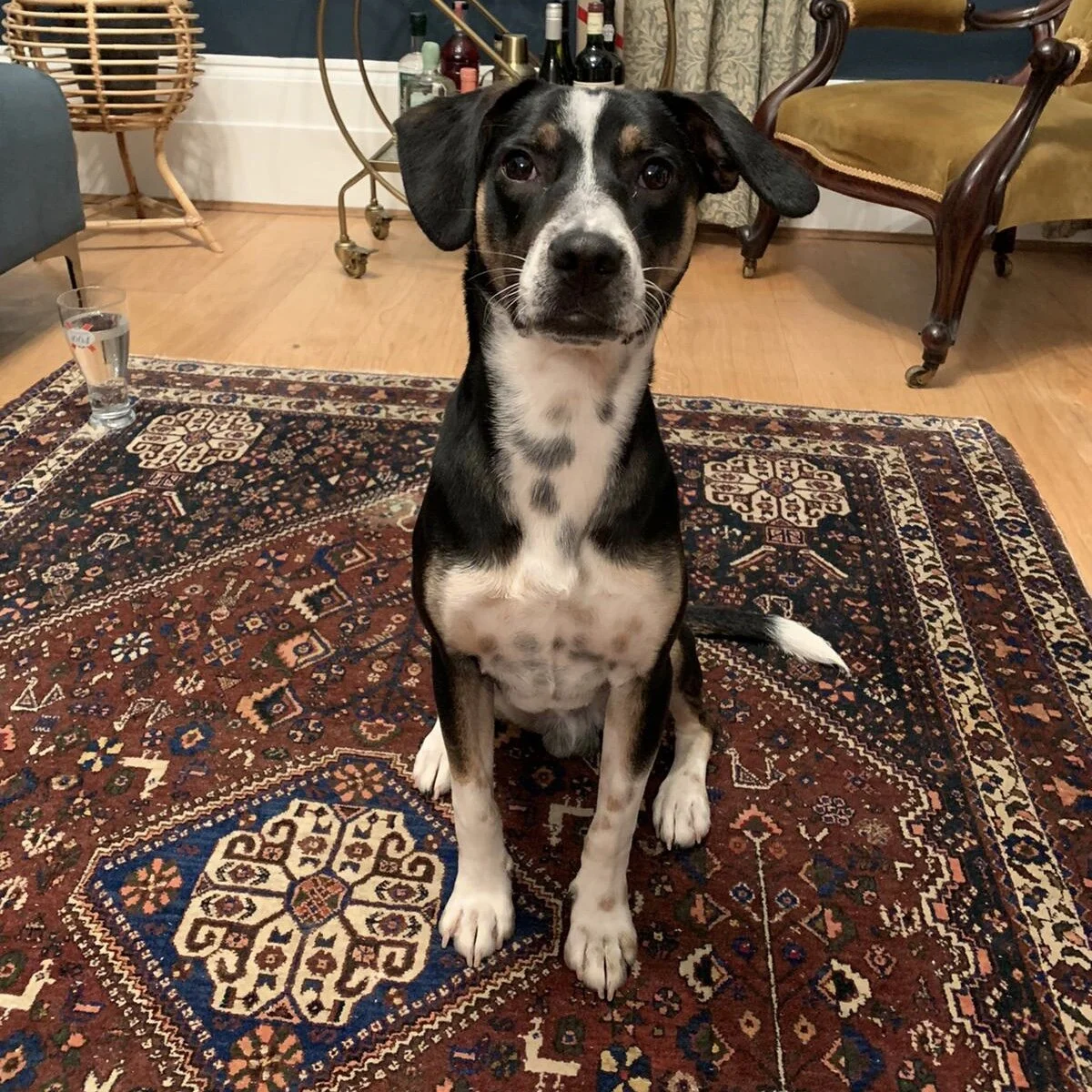 2459954F-C766-4A99-A45B-78277B07A1E2