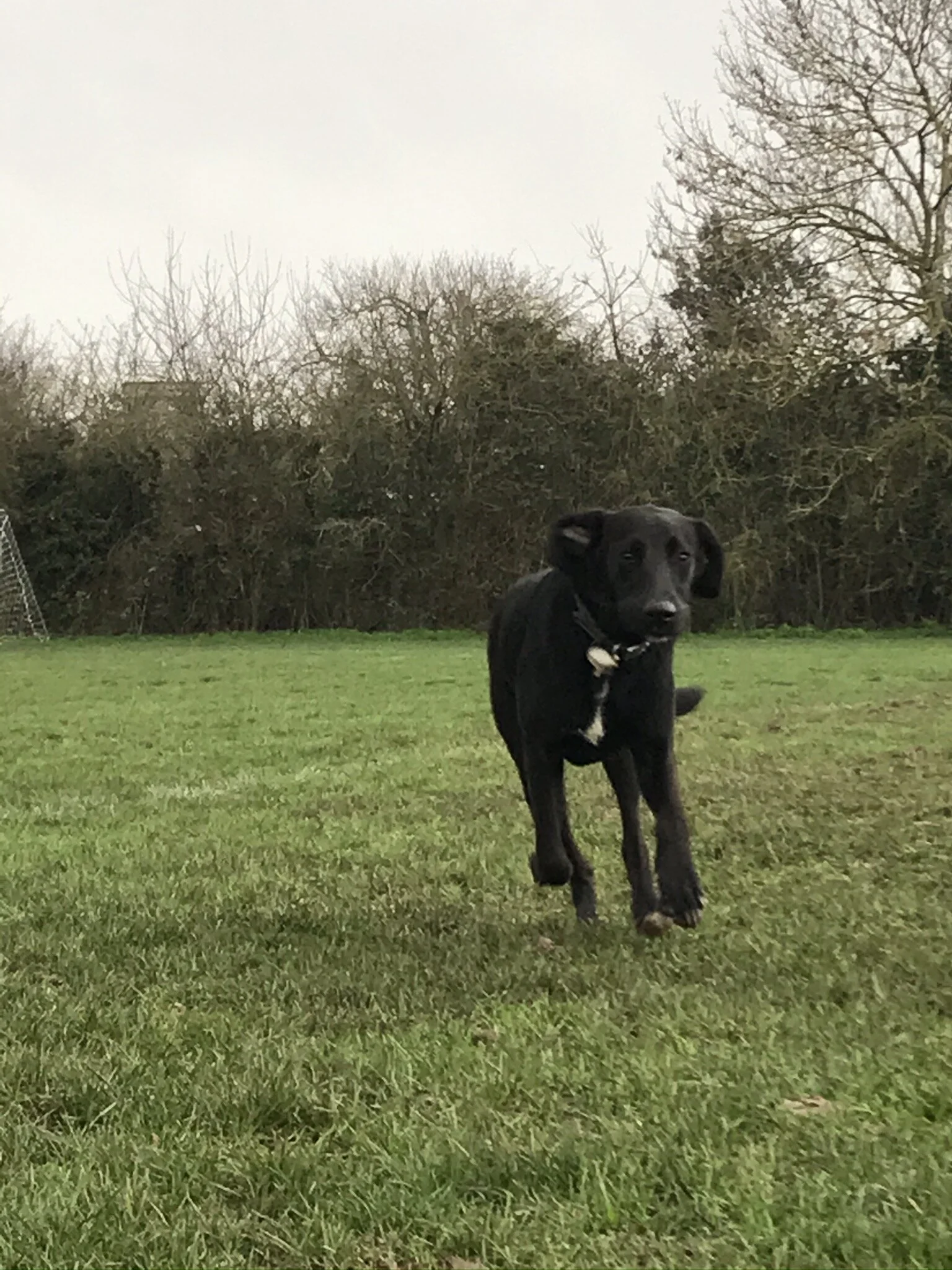 3D02018B-58DF-4BCB-9B70-6FF17E25C67D