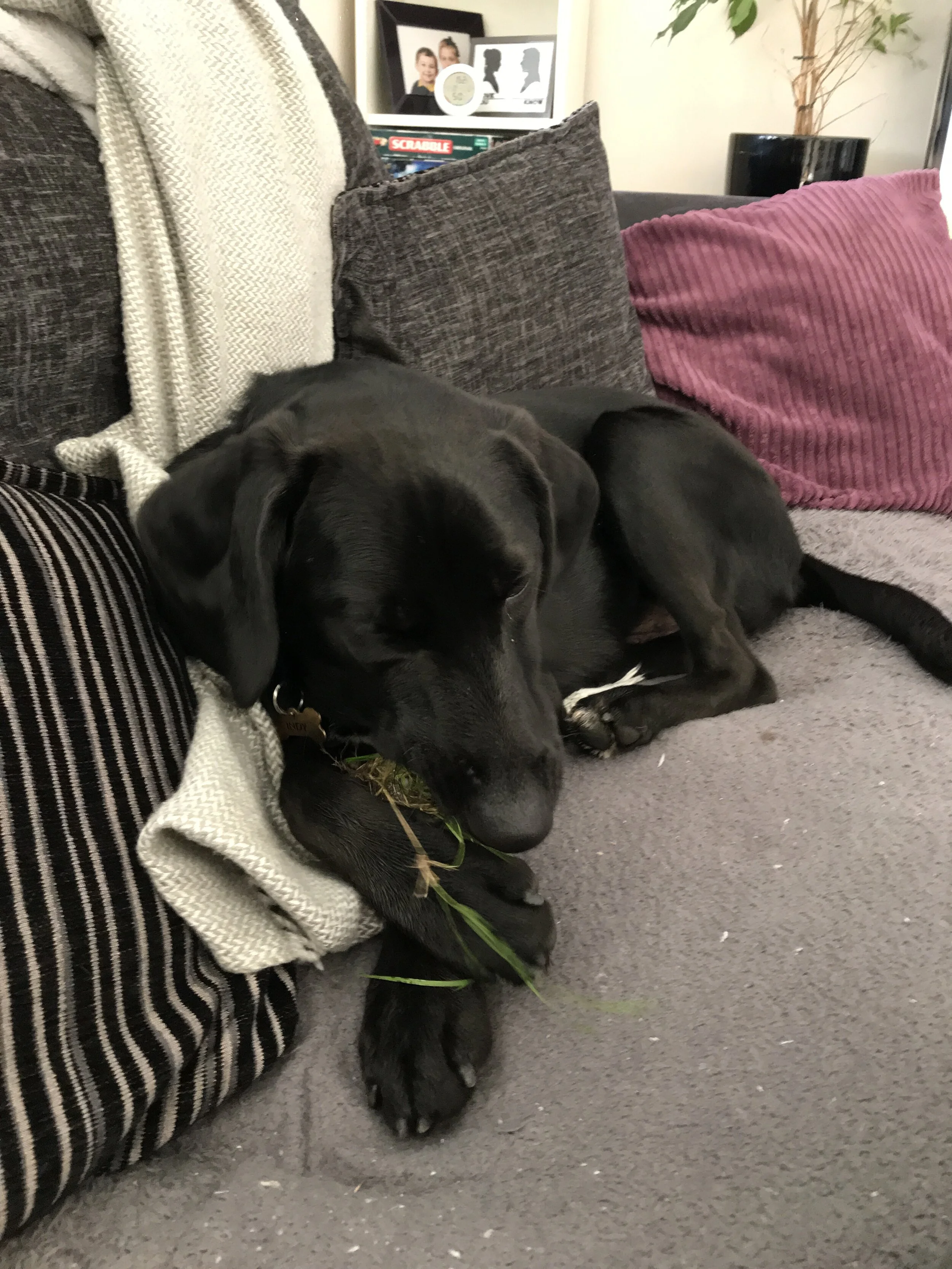 264D848F-998A-410D-9E13-DFF54B80D93E