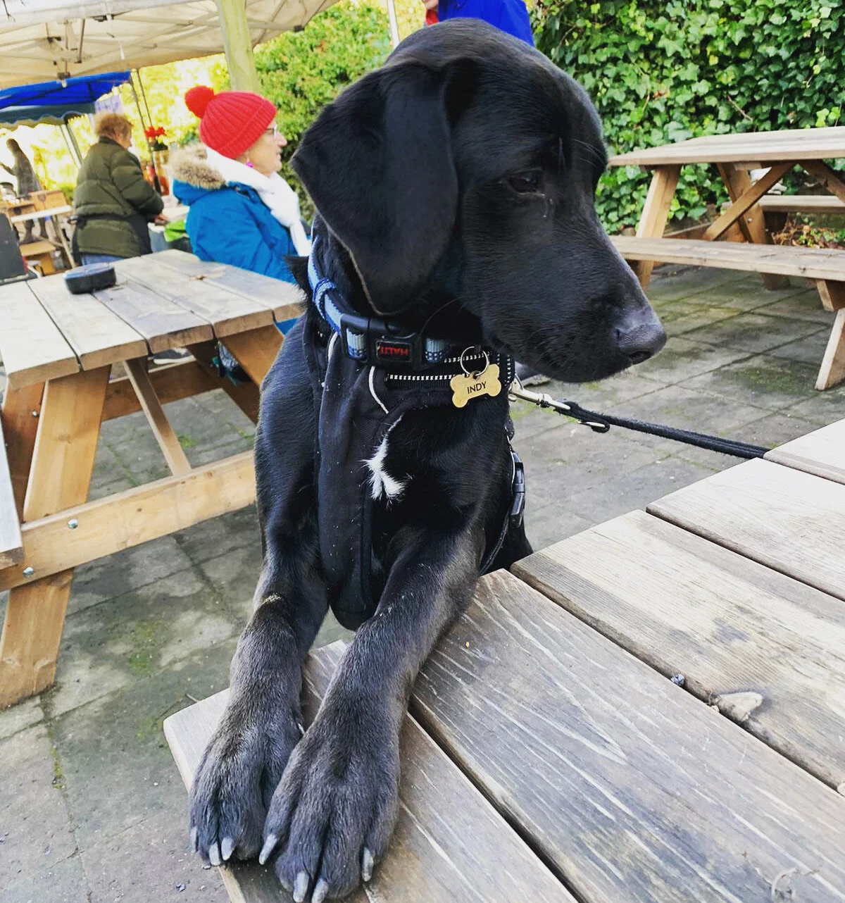 BA8DF3CF-B8AF-44A8-9FBA-AAAD5E0304BD