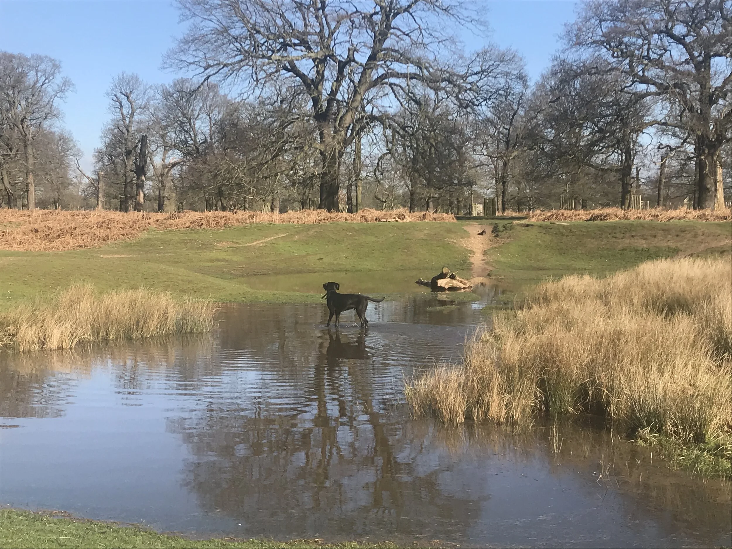 71D62DC1-30A7-4957-B87B-1971ECB91AE0