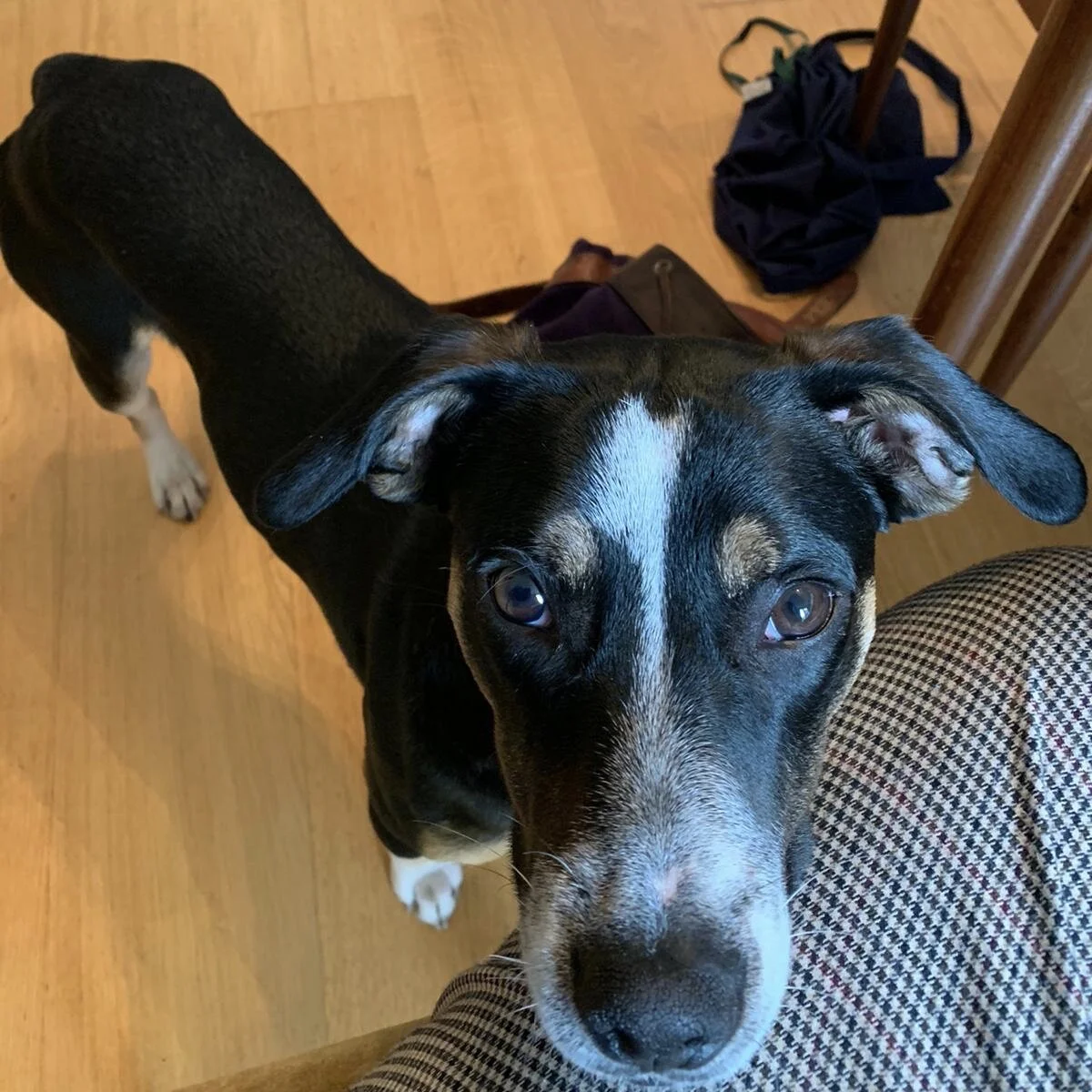 2CC0CA24-D2FB-4BC6-A34D-4BCA4813E005